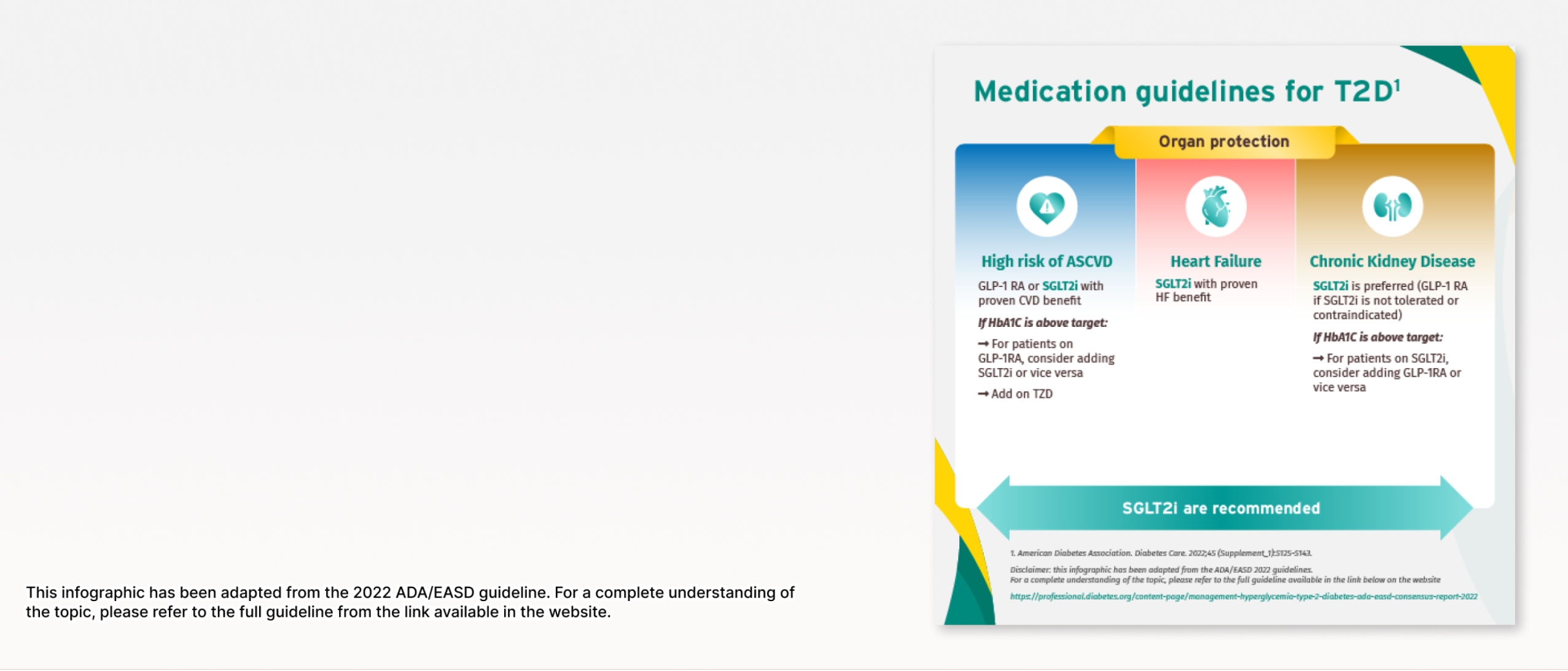 Medication Guidelines for T2DM